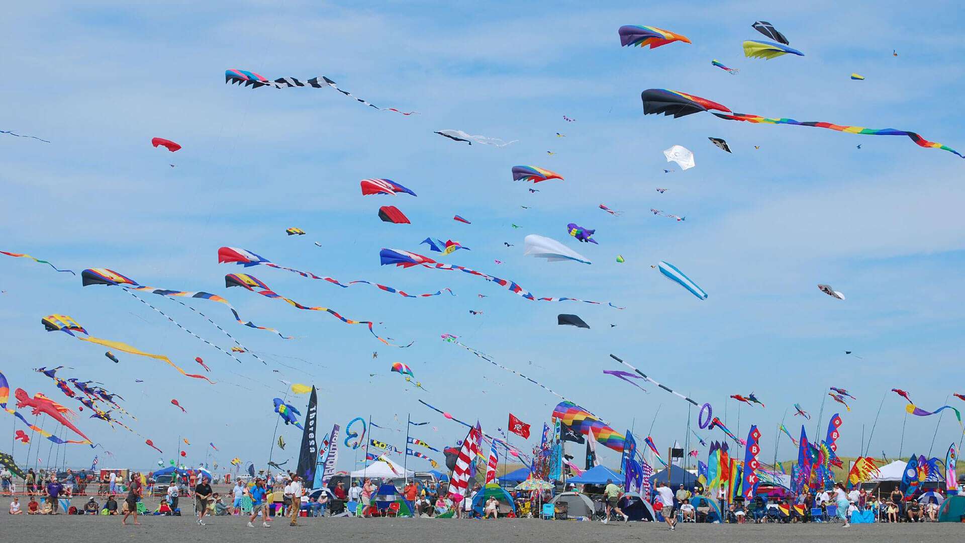 International Kite Festival Dates History Major Attractions Adotrip